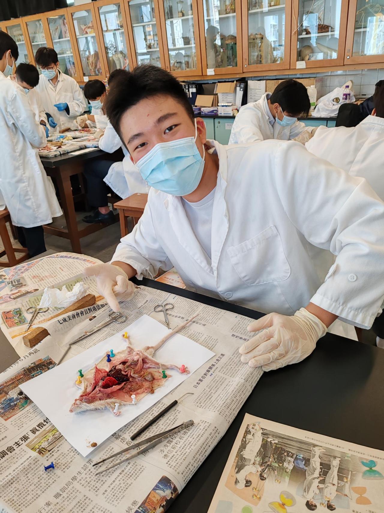 同學剛完成解剖活動
